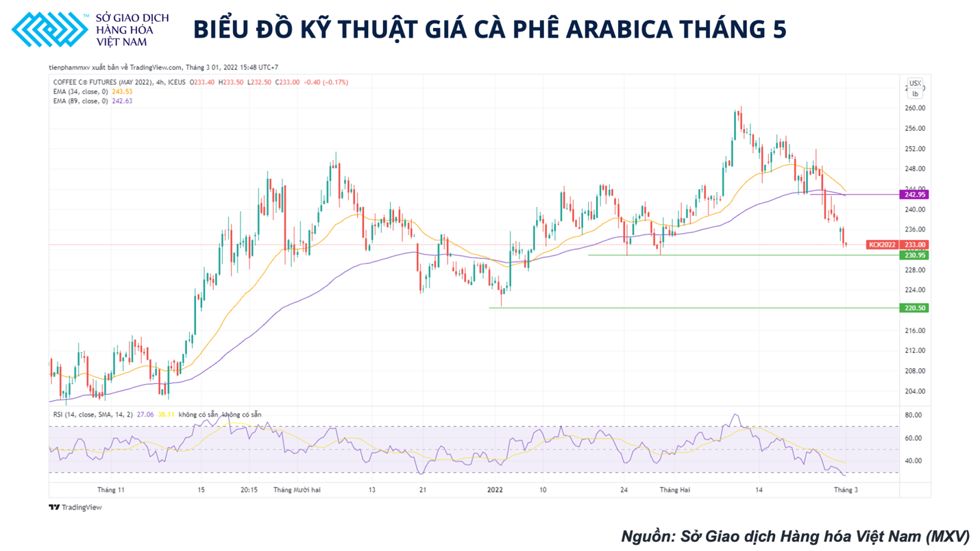 Thị trường cà phê Robusta nhiều khả năng sẽ chịu áp lực bán mạnh