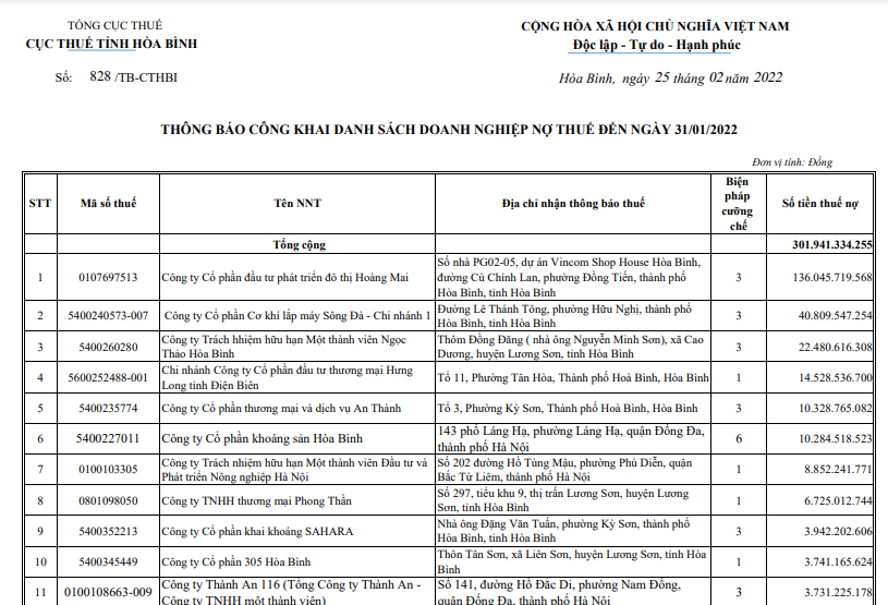 CTCP Đầu tư phát triển đô thị Hoàng Mai nợ thuế hơn 130000 tỷ đồng 