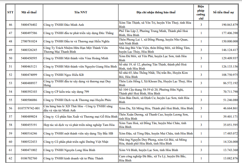 CTCP Đầu tư phát triển đô thị Hoàng Mai nợ thuế hơn 130000 tỷ đồng 