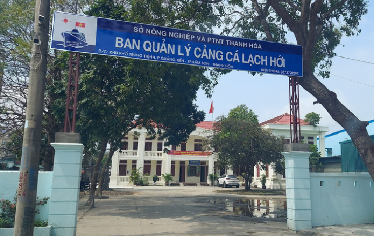 Giám đốc cảng cá lớn nhất Thanh Hóa bị đình chỉ vì đánh bạc