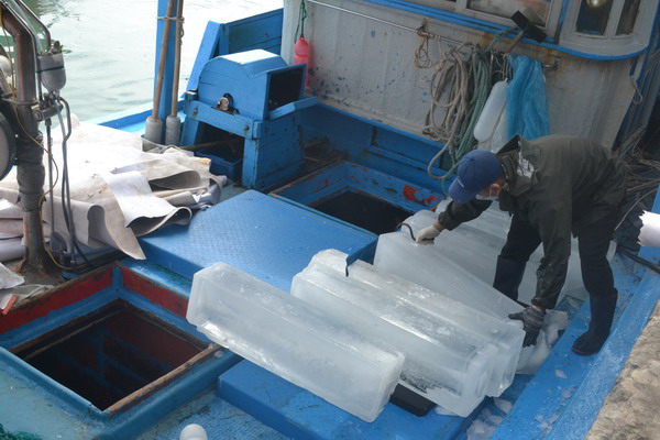 Ngư dân Khánh Hòa than vãn nguy cơ thua lỗ do giá xăng dầu tăng cao