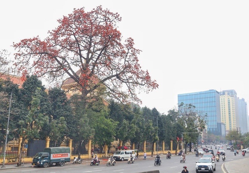 Dự báo thời tiết đêm nay và ngày mai 18193 Cả nước có nắng Bắc Bộ đêm và sáng sớm trời lạnh Nam Bộ chiều tối mưa rào và dông vài nơi